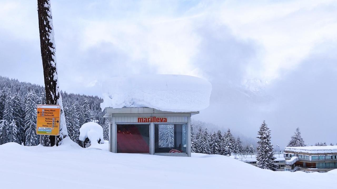 1400 Montana * Marilleva
